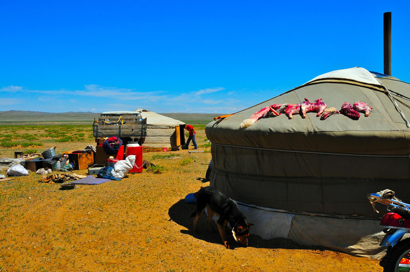 Mongolie